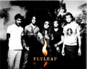 IMAGEM BANDA FLYLEAF